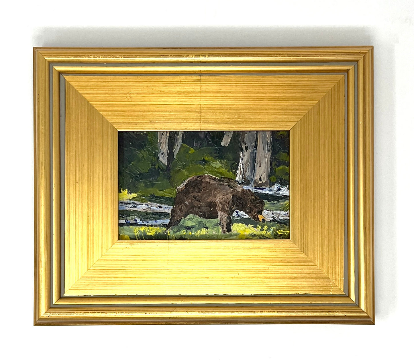 Richard Tambor: Happy Bear GTNP