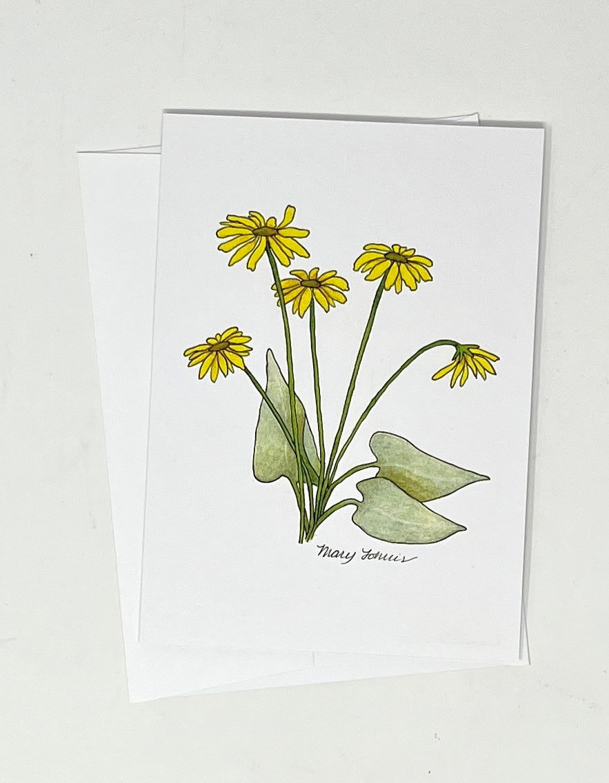 Mary Lohuis: Balsamroot Single Card