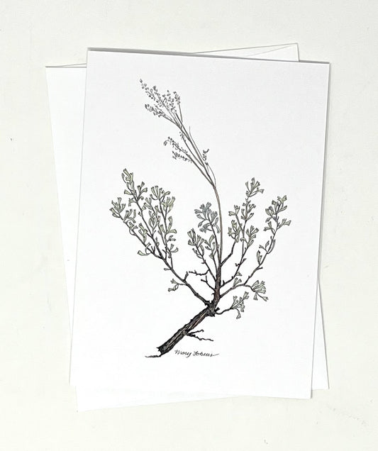 Mary Lohuis: Sage Single Card