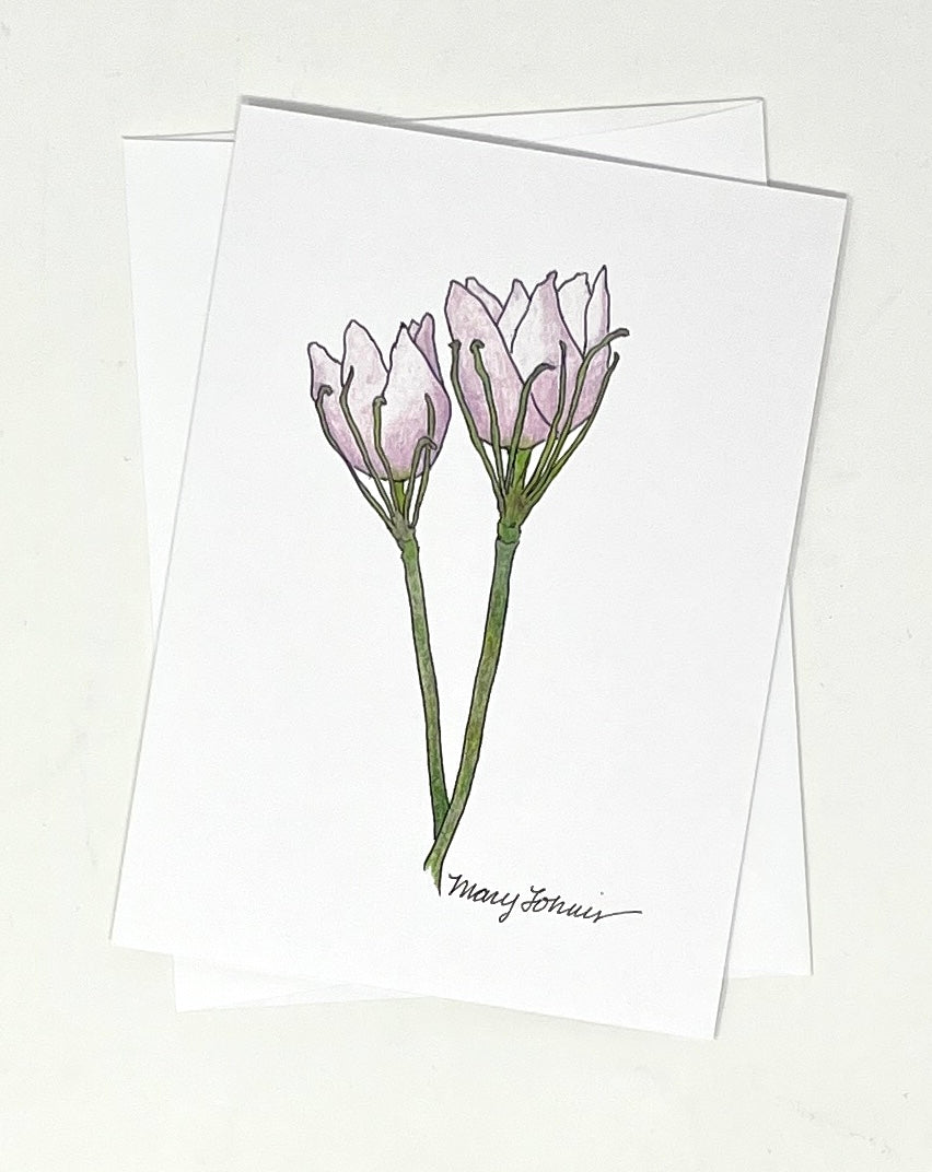 Mary Lohuis: Pasque Flower Single Card