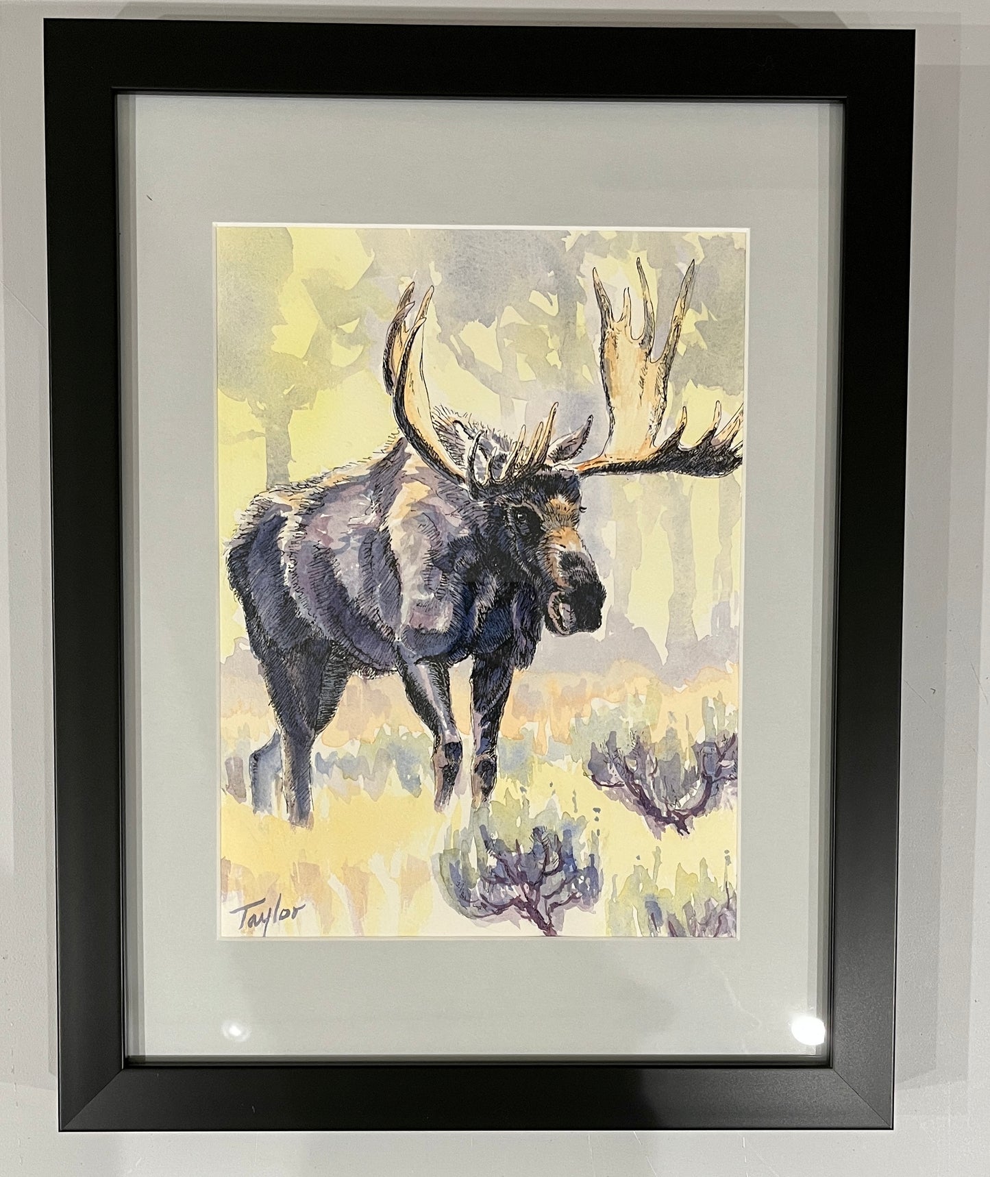 Andy Taylor: Moose
