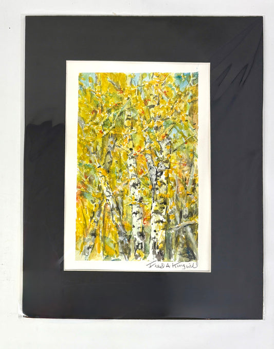 Fred Kingwill: Aspen