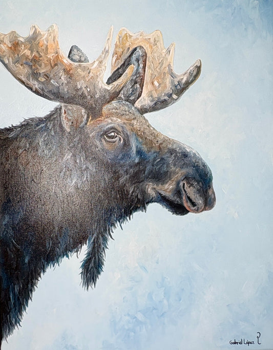 Gabriel Lopez: Moose on the Loose