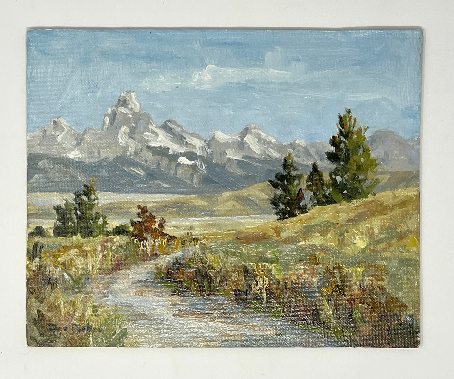 Dee Parker: Early Snow