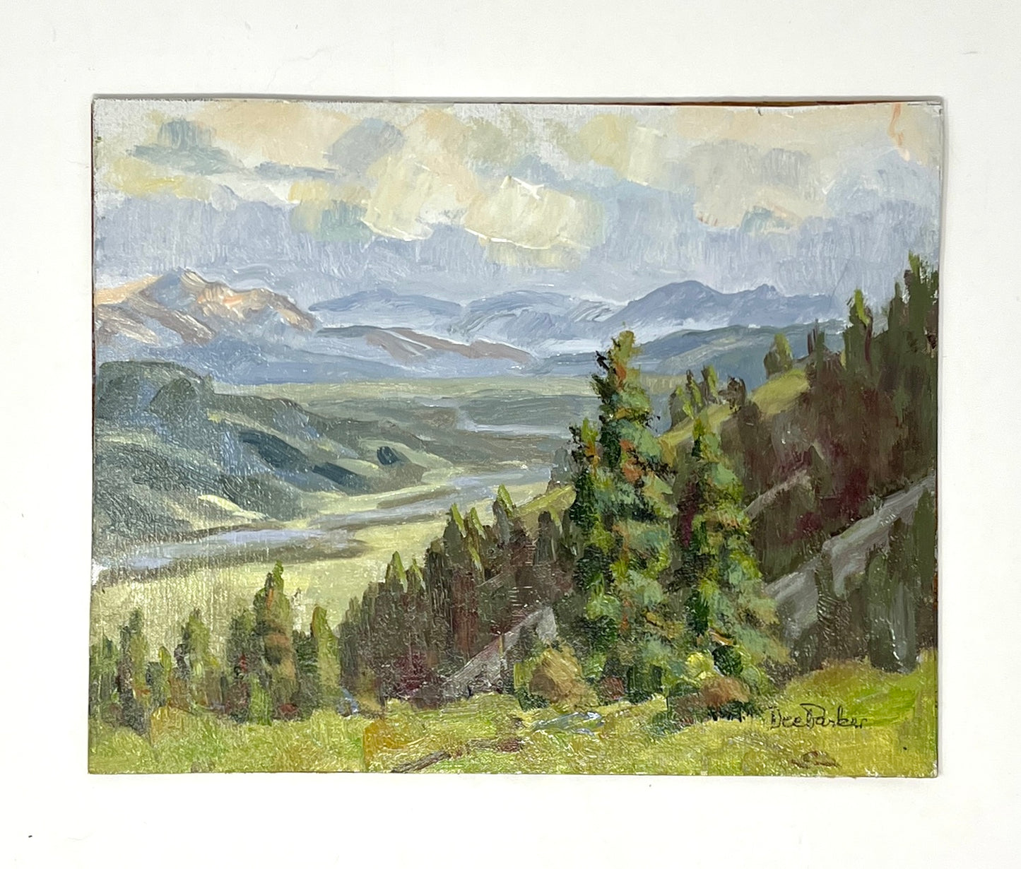 Dee Parker: Snake River Valley