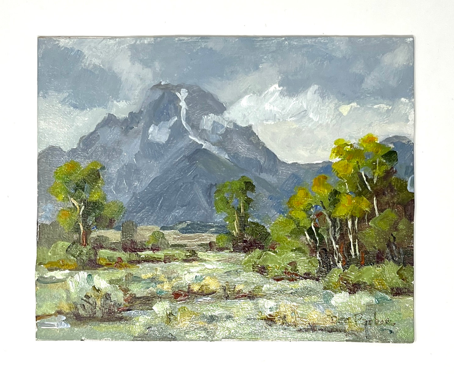 Dee Parker: Mt Moran
