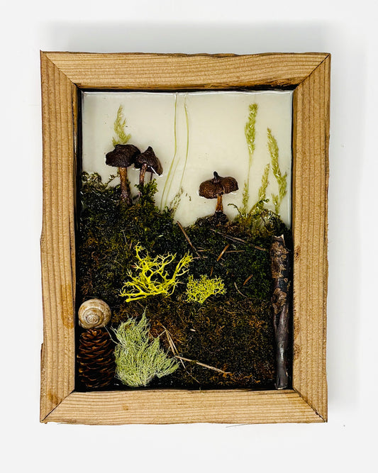 Julianna Lovasz: Mushroom Cluster II Frame