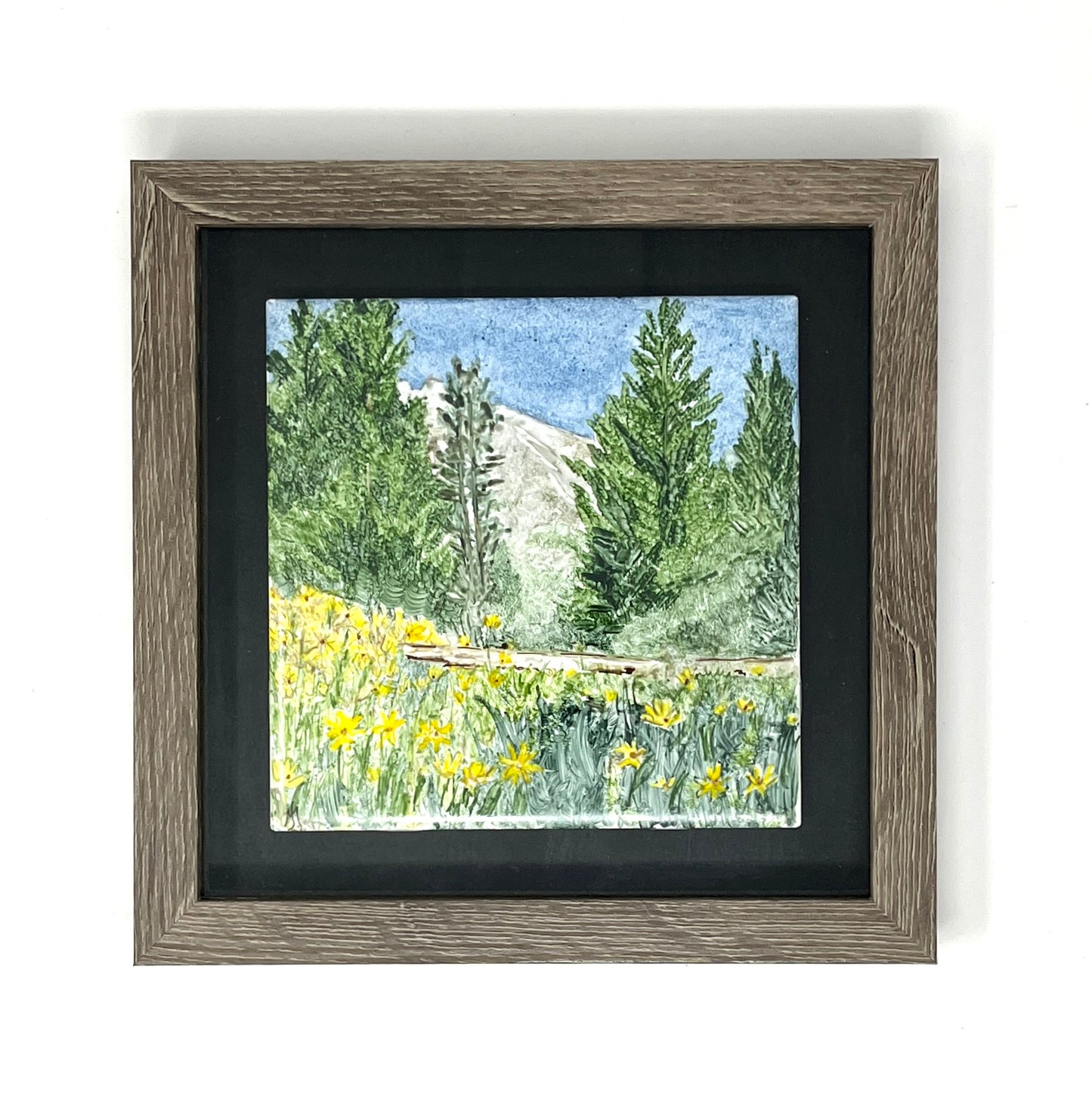 Sue Morris: Spring Blooms