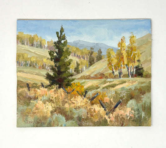 Dee Parker: Old Buckrail Fence