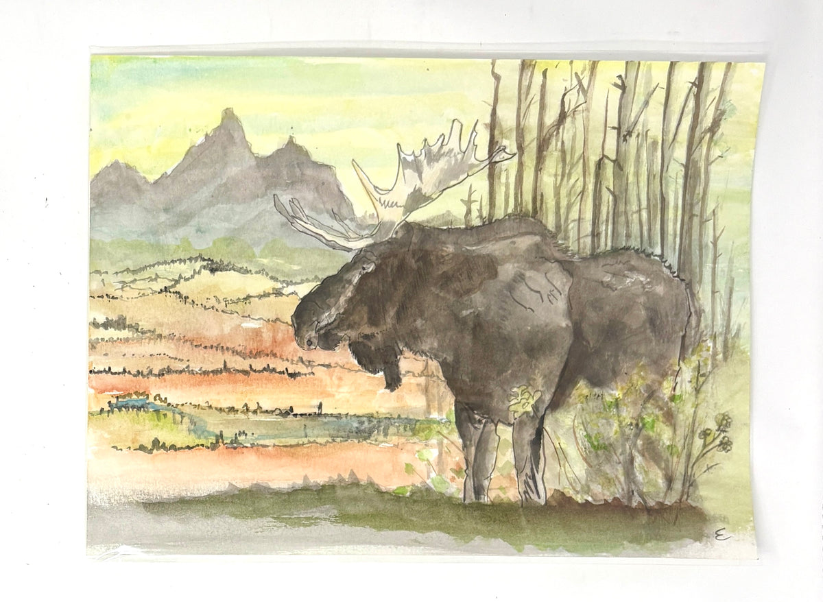 Steve Ehrlich: Moose Watercolors