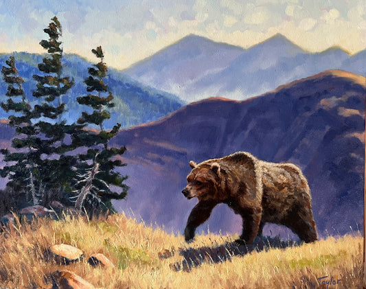 Andy Taylor: Over The Top