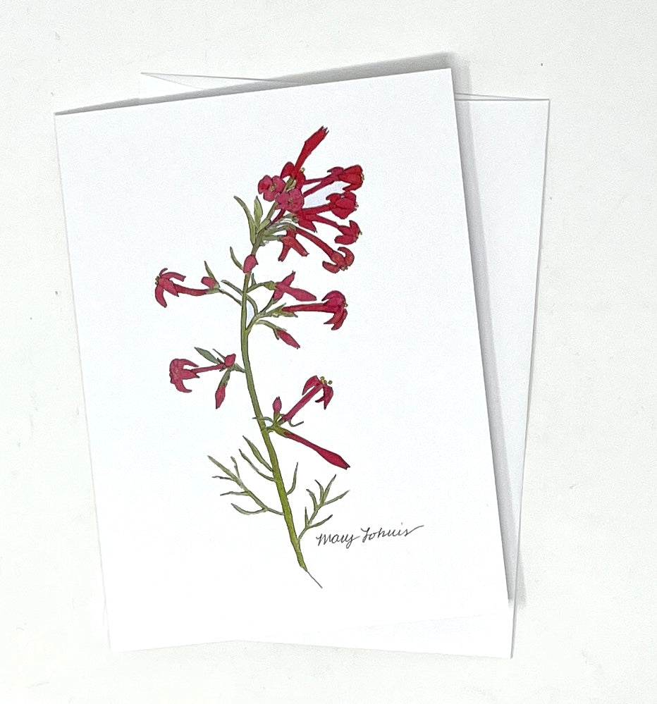 Mary Lohuis: Gilia Single Card