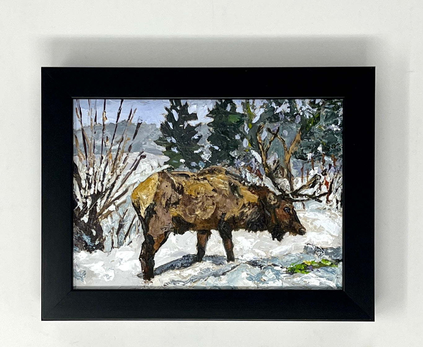 Richard Tambor: Elk Digging For Food #2