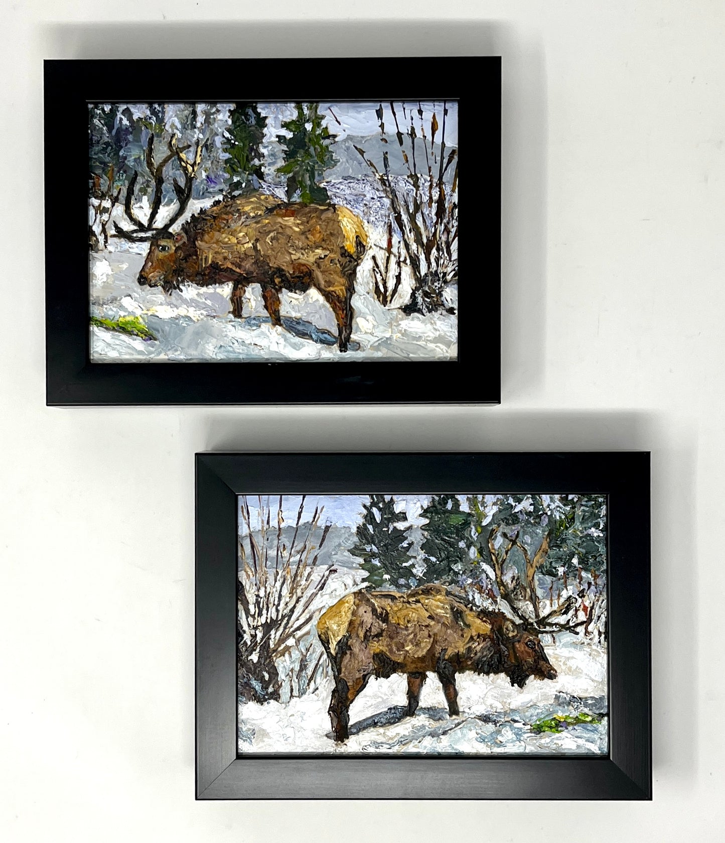Richard Tambor: Elk Digging For Food #2