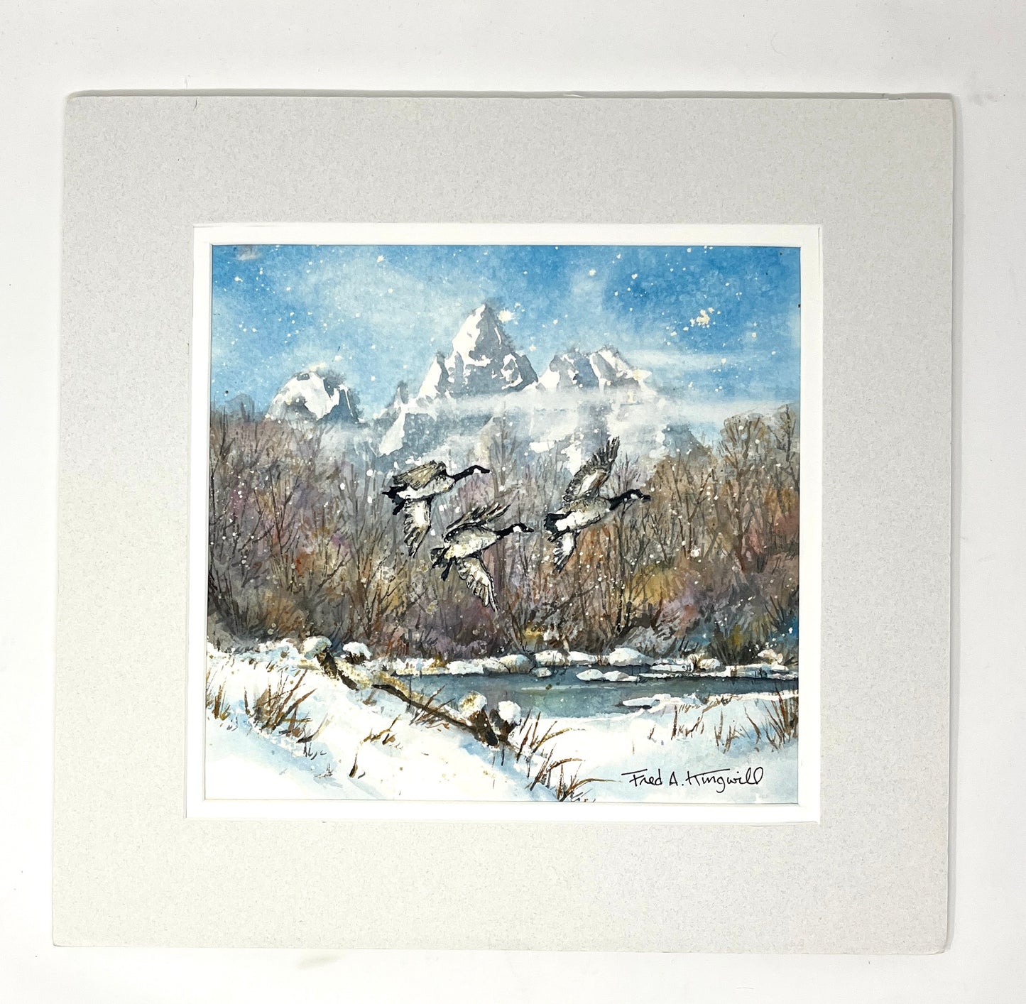 Fred Kingwill: Geese in Teton