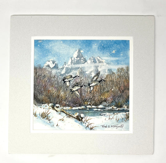 Fred Kingwill: Geese in Teton