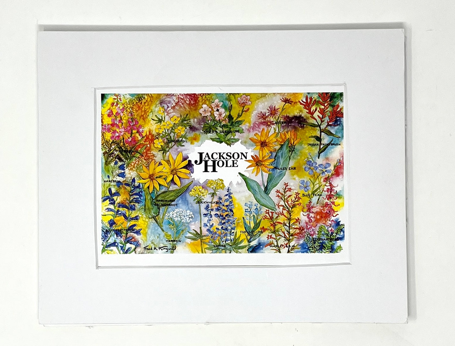 Fred Kingwill: 8 x 10 matted prints
