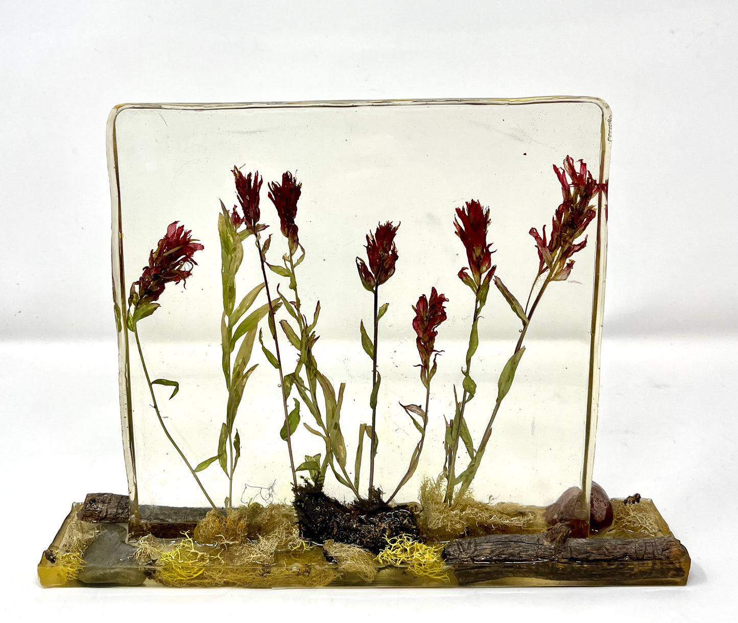 Julianna Lovasz: Indian Paintbrush Desk Piece