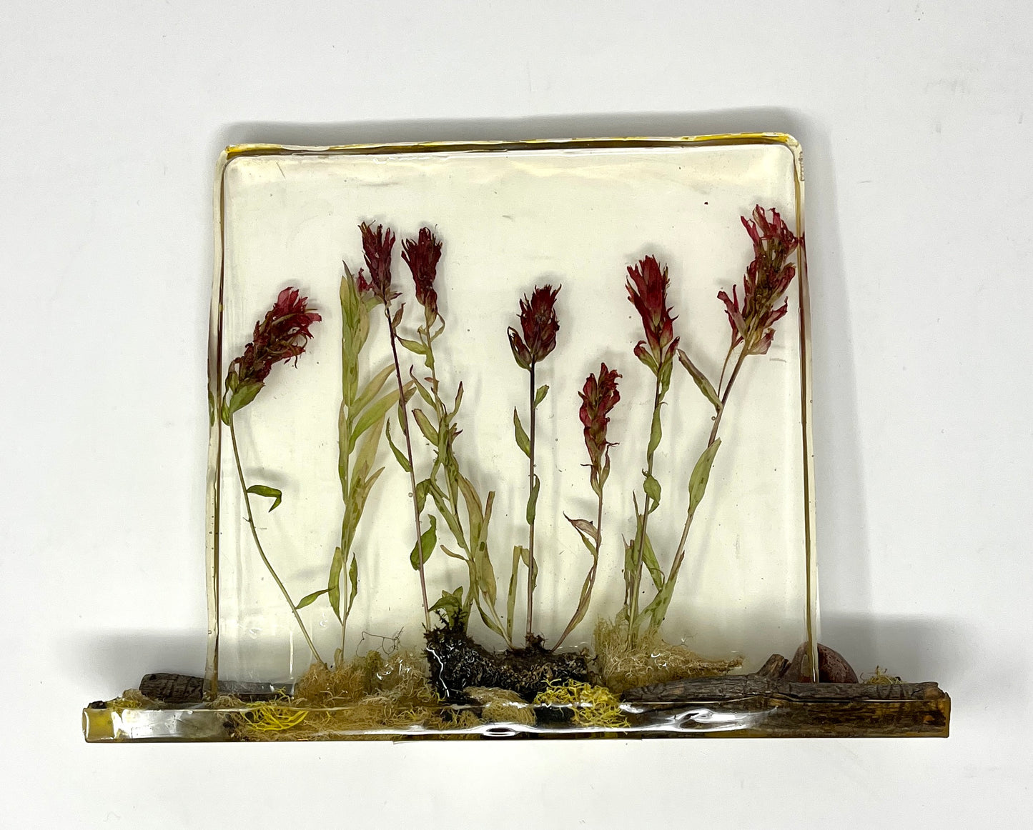 Julianna Lovasz: Indian Paintbrush Desk Piece