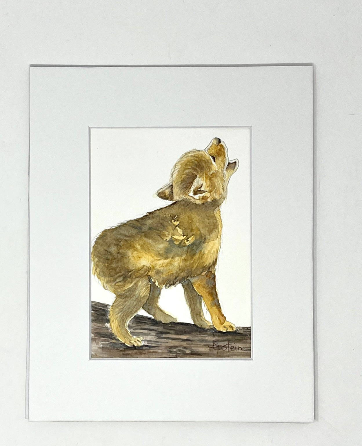 Joannie Epstein: Wiley Wolf
