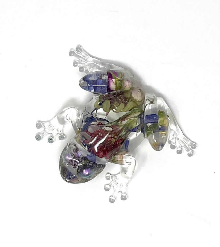 Julianna Lovasz: Animals