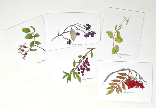 Mary Lohuis: Berries of Jackson Hole Set