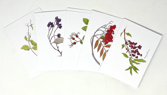 Mary Lohuis: Berries of Jackson Hole (Large Set)