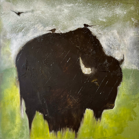 Judith Dragonette: All Aboard