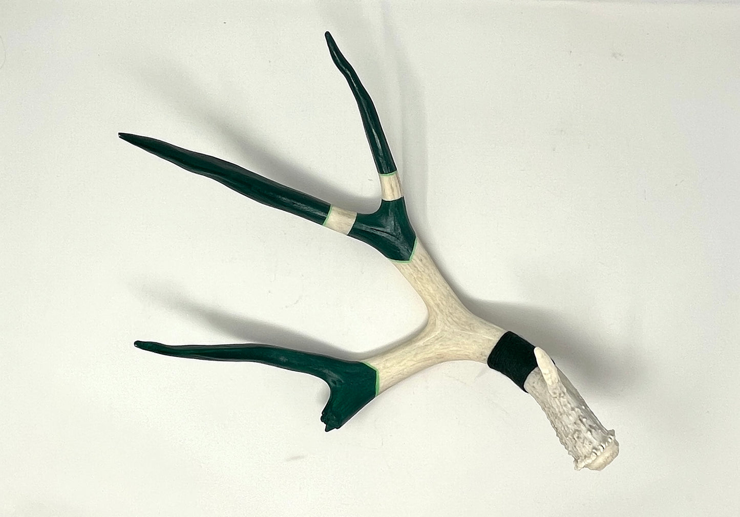 Kevin Rauch-Lynch: Large Mule Deer Antler (Green/Blue)