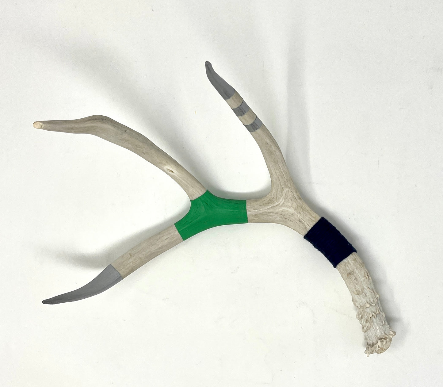 Kevin Rauch-Lynch: Large Mule Deer Antler (Green/Blue)