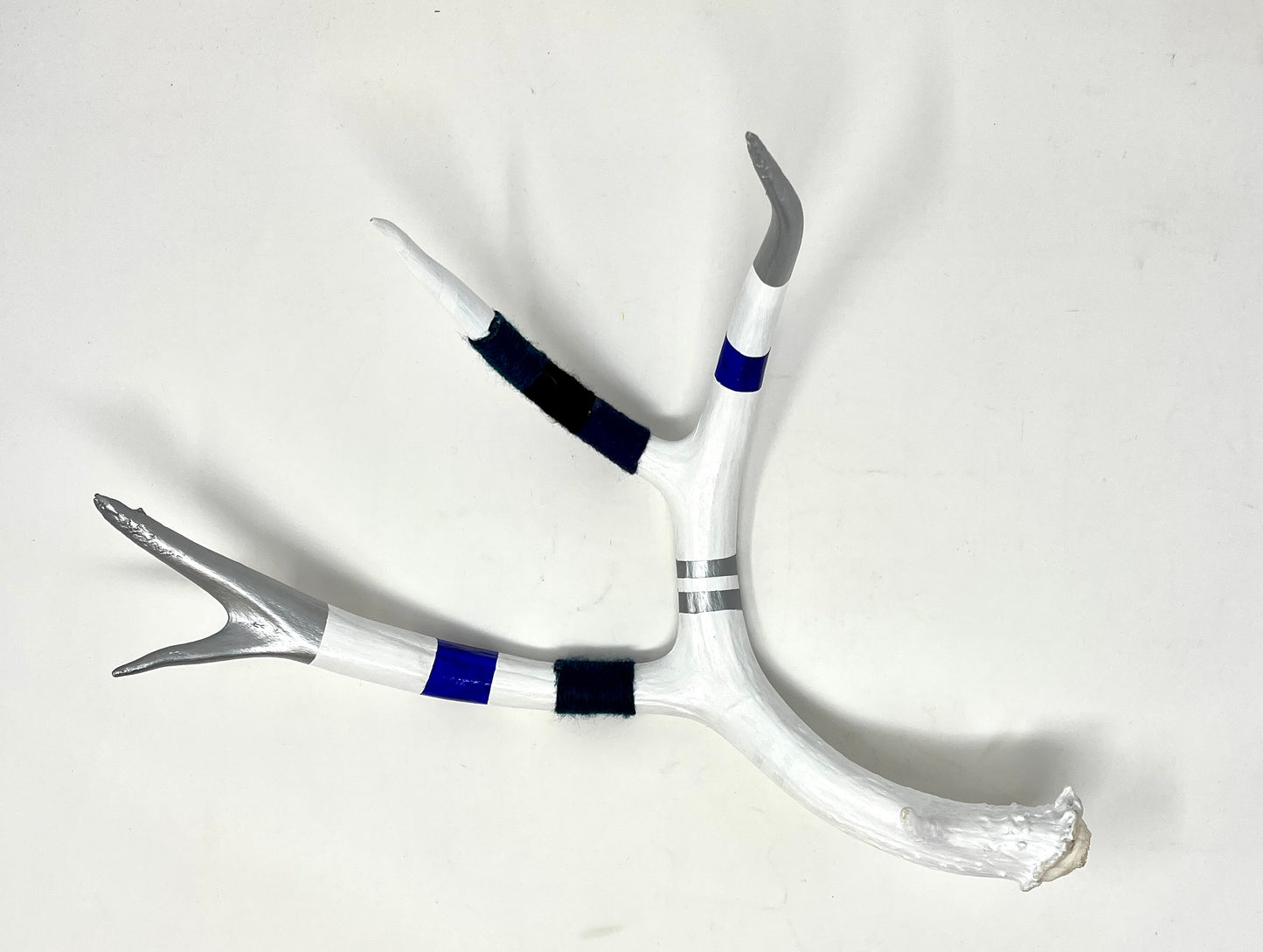 Kevin Rauch-Lynch: Large Mule Deer Antler (Royal/Navy)