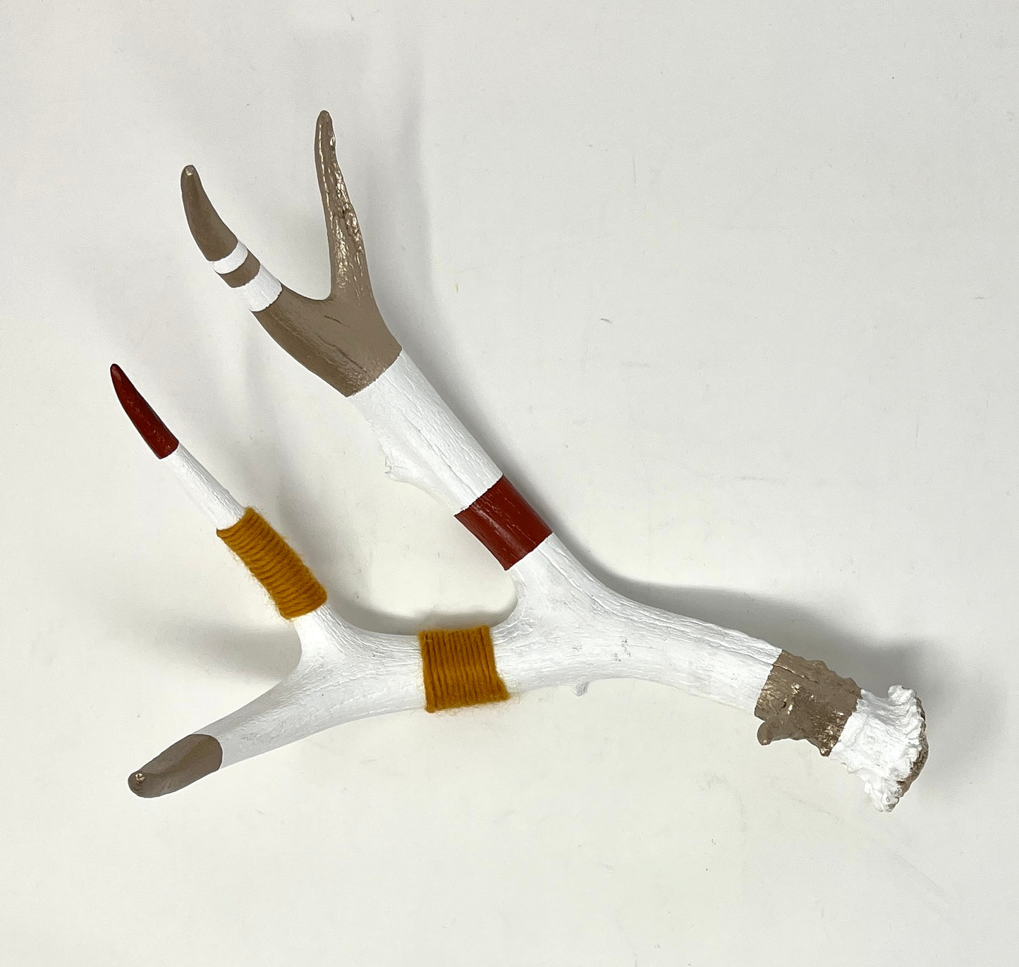 Kevin Rauch-Lynch: Medium Mule Deer Antler (Marigold/Orange)
