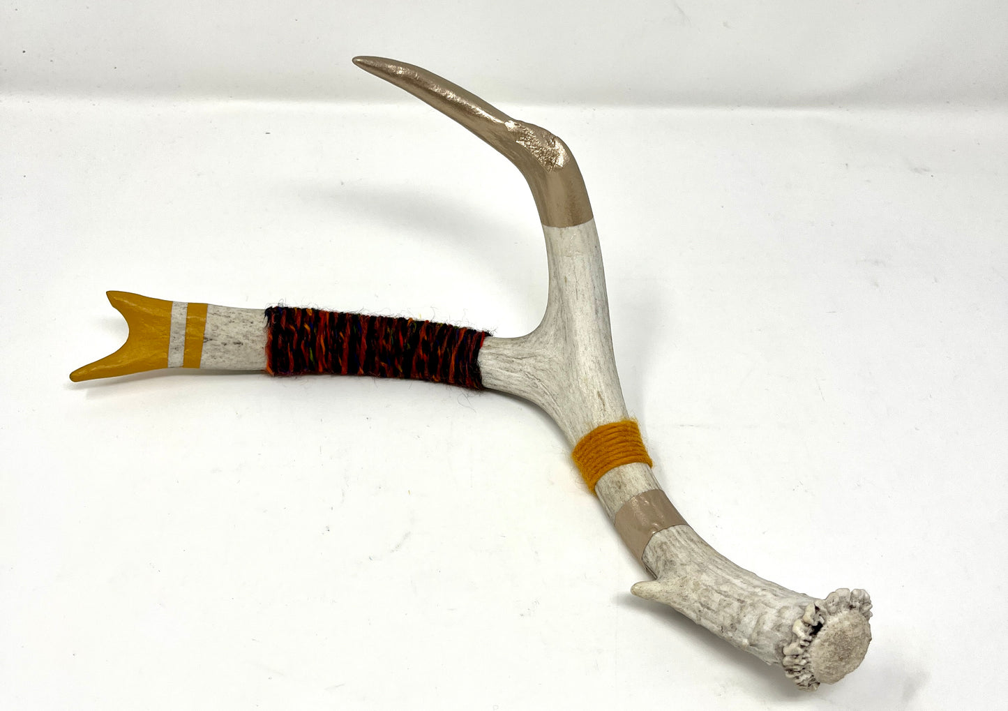 Kevin Rauch-Lynch: Medium Mule Deer Antler (Marigold/Multi)