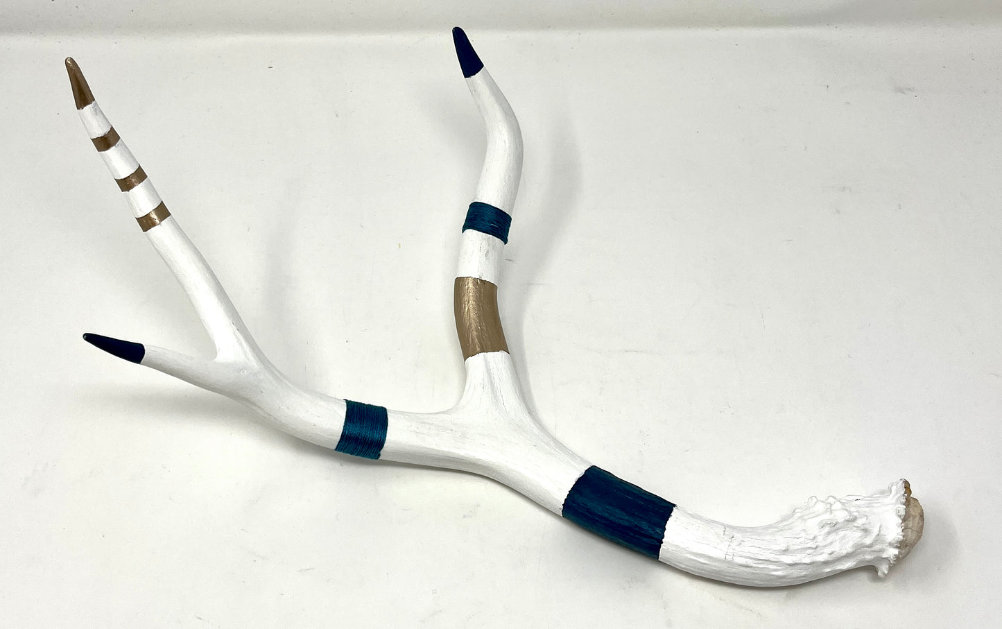 Kevin Rauch-Lynch: Medium Mule Deer Antler (Blues)