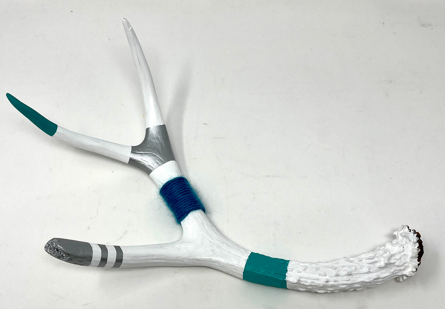 Kevin Rauch-Lynch: Medium Mule Deer Antler (Teal)