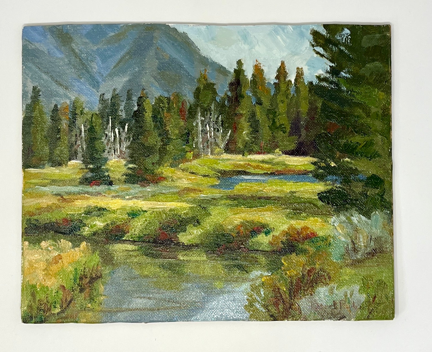 Dee Parker: Schwabacher Landing