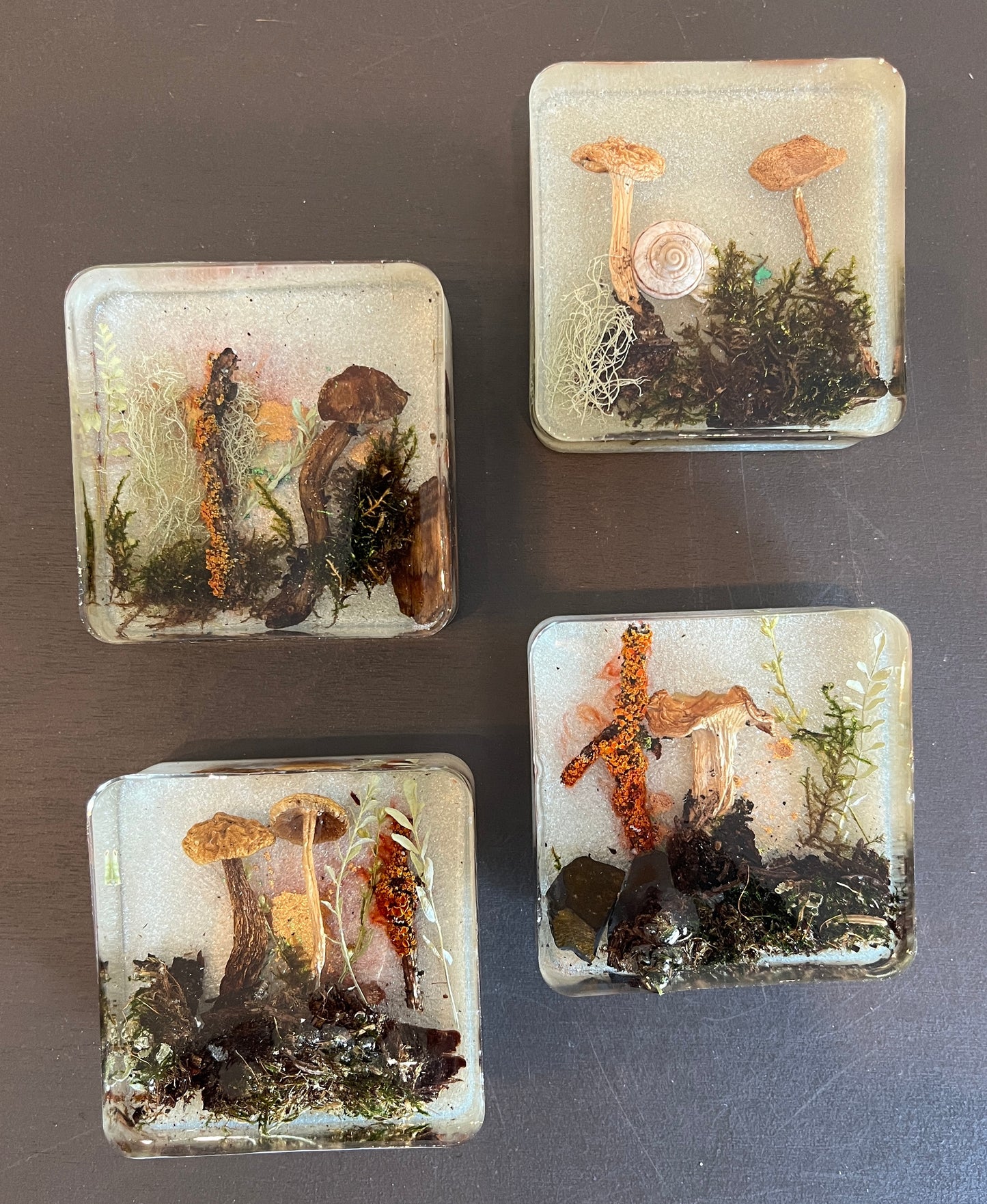 Julianna Lovasz: Medium Mushroom Magnets