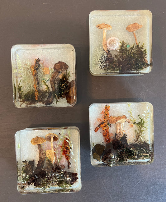 Julianna Lovasz: Medium Mushroom Magnets