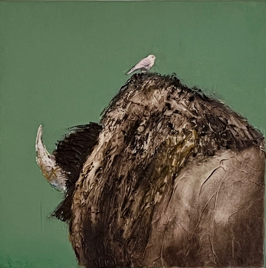 Judith Dragonette: Freeloader