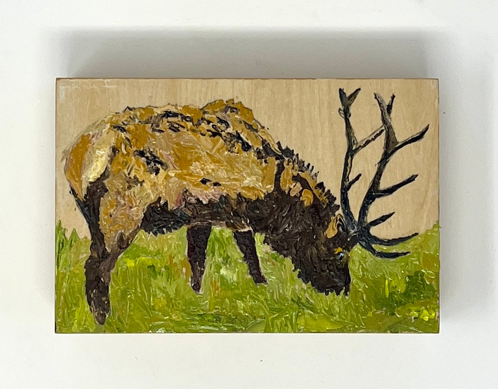 Richard Tambor: Elk Discovers Spring