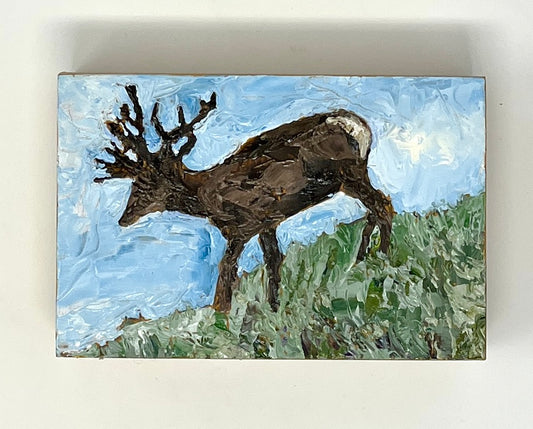 Richard Tambor: The Buck Stops Here