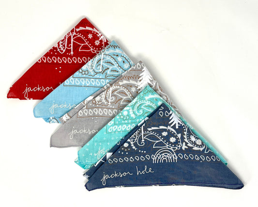 Lisa Walker: Embroidered Bandana