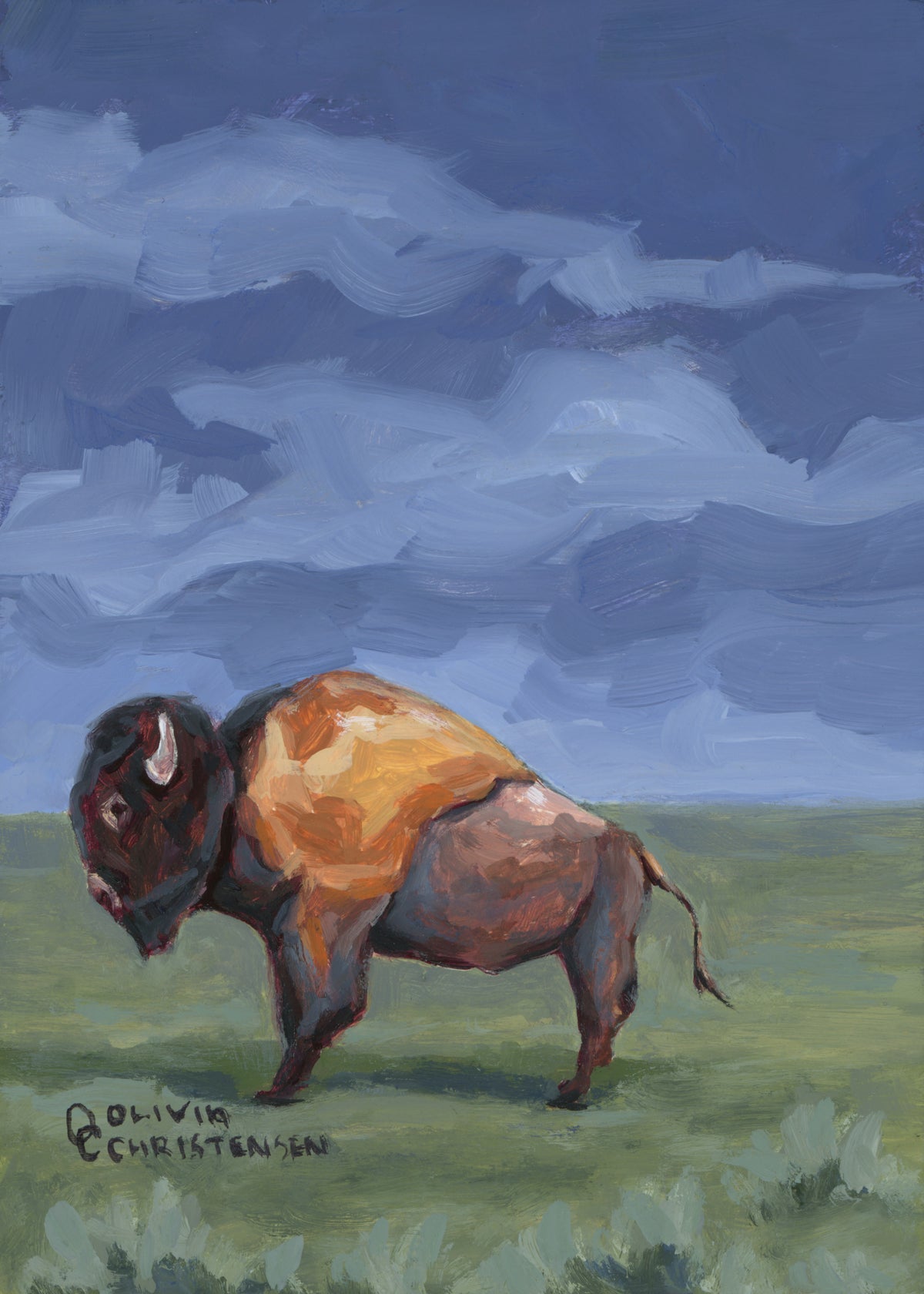 Olivia Christensen: King of the Plains