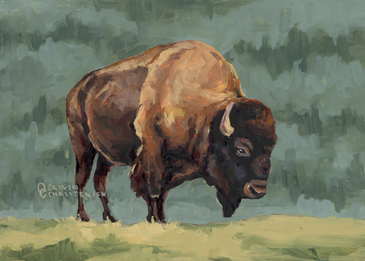 Olivia Christensen: Lone Bull