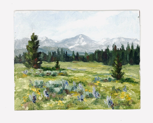 Dee Parker: Lupine