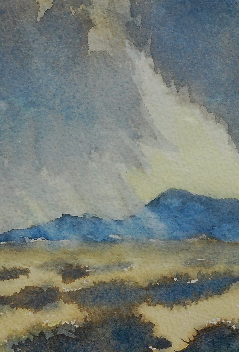 Susan Marsh: Virga Over the Sagebrush Steppe