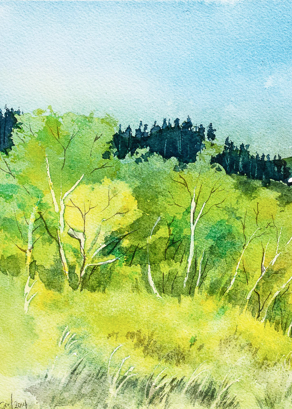 Susan Marsh: Along the Levee (II)