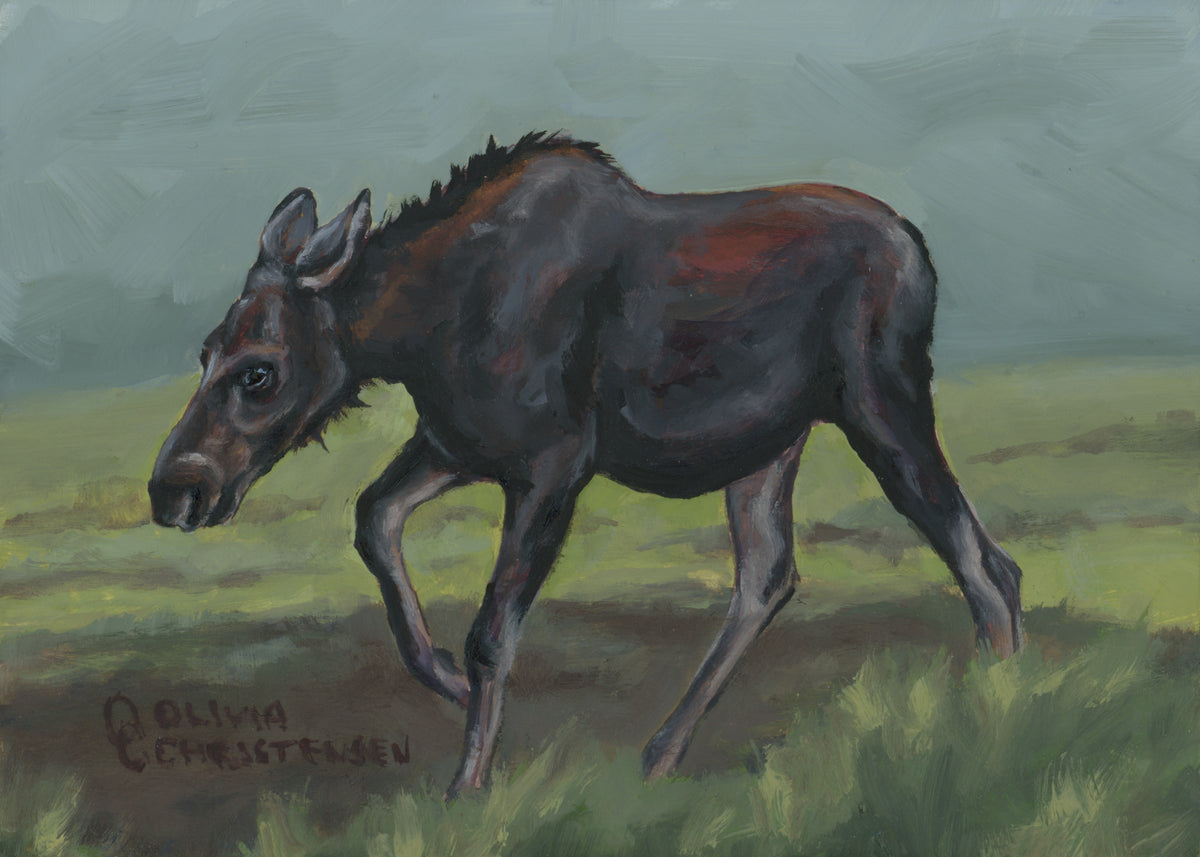 Olivia Christensen: Moose Tracks