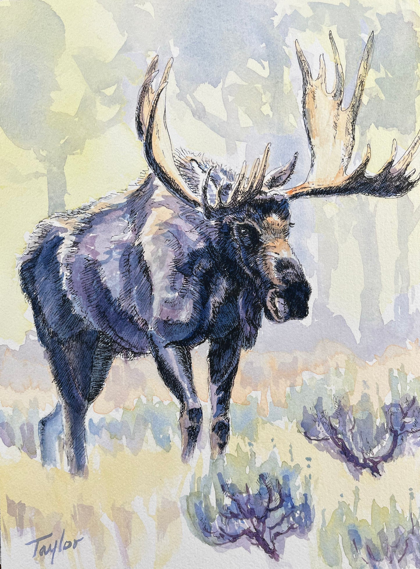 Andy Taylor: Moose
