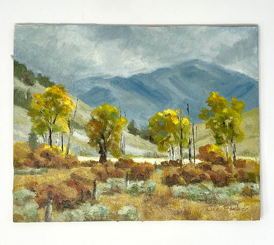 Dee Parker: Nature's Light